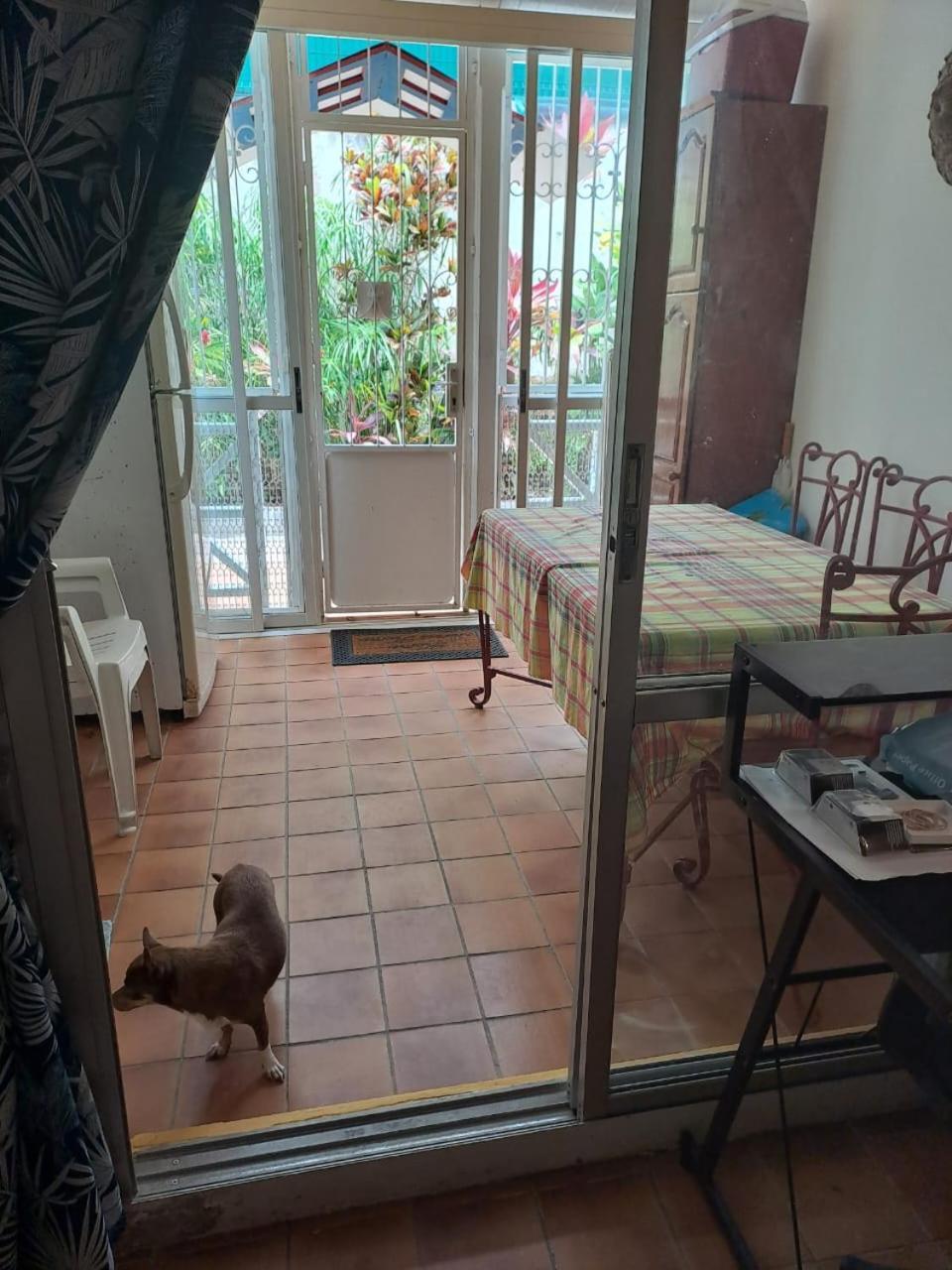Appartement T2 meublé tout confort Le Gosier  Extérieur photo